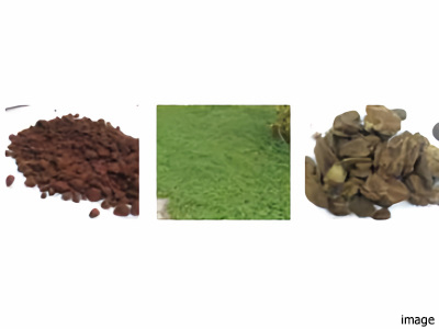 植栽計画｜ザ・パークハウス板橋大山大楠ノ杜