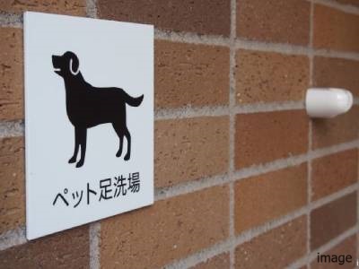ペット足洗い場イメージ｜ザ・パークハウス板橋大山大楠ノ杜