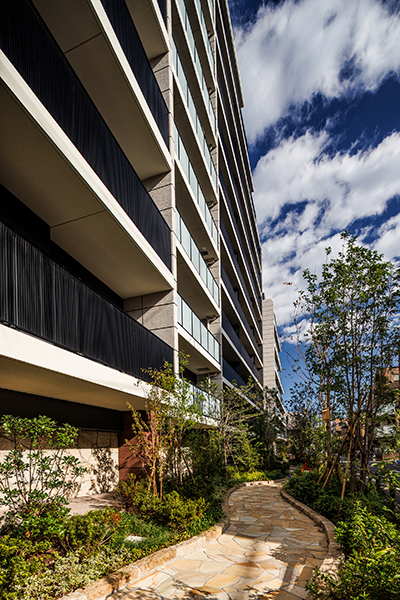 外観｜ザ・パークハウス板橋大山大楠ノ杜