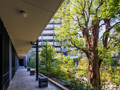 共用施設｜ザ・パークハウス板橋大山大楠ノ